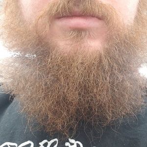 Meet your Posher, Alexander